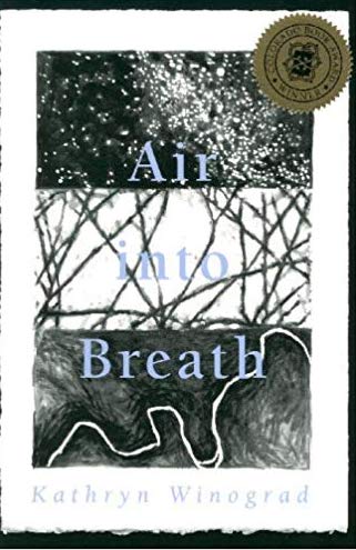 Book Cover: Air Into Breath