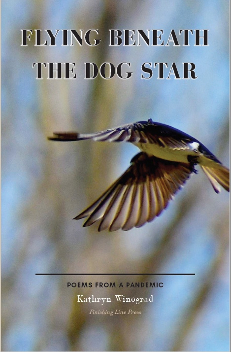 Book cover for Flying Beneath the Dog Star